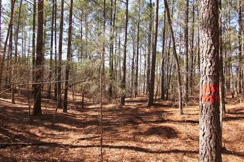 2517 Baptist Rd, Durham, NC 27703 photo 37