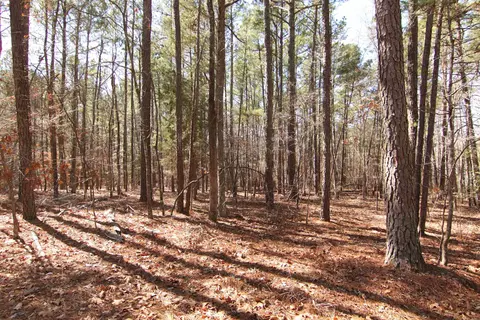 2517 Baptist Rd, Durham, NC 27703 photo 44