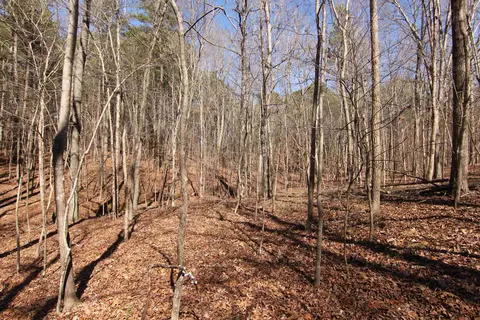 2517 Baptist Rd, Durham, NC 27703 photo 17