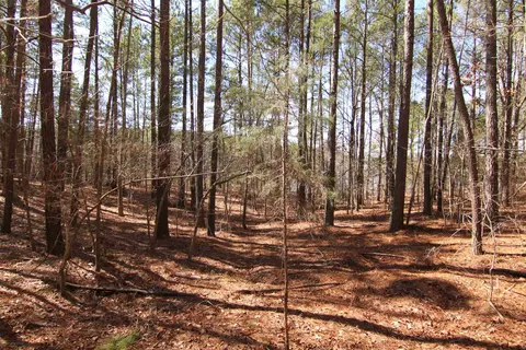 2517 Baptist Rd, Durham, NC 27703 photo 35