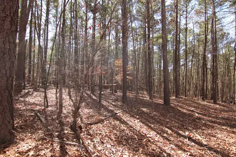 2517 Baptist Rd, Durham, NC 27703 photo 43