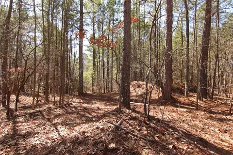 2517 Baptist Rd, Durham, NC 27703 photo 47