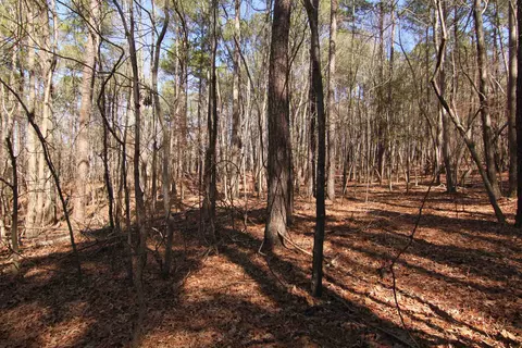 2517 Baptist Rd, Durham, NC 27703 photo 31