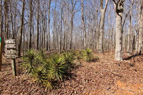 2517 Baptist Rd, Durham, NC 27703 photo 2