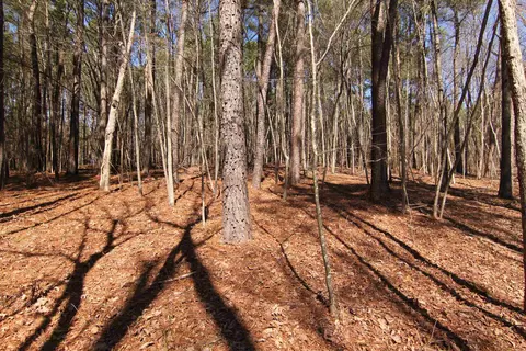 2517 Baptist Rd, Durham, NC 27703 photo 25