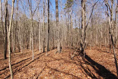 2517 Baptist Rd, Durham, NC 27703 photo 14