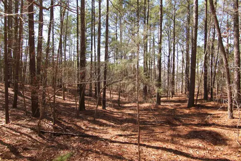2517 Baptist Rd, Durham, NC 27703 photo 36