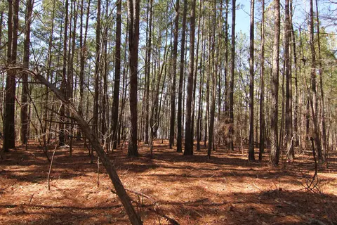 2517 Baptist Rd, Durham, NC 27703 photo 28