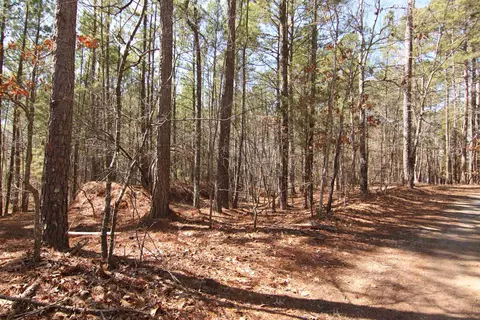 2517 Baptist Rd, Durham, NC 27703 photo 48