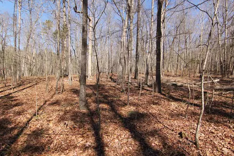 2517 Baptist Rd, Durham, NC 27703 photo 9