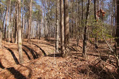 2517 Baptist Rd, Durham, NC 27703 photo 34