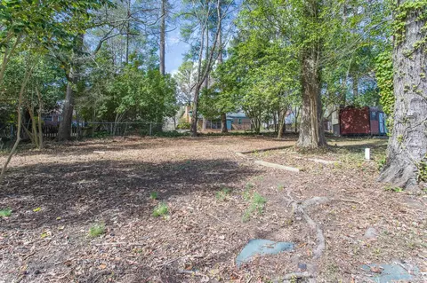 2908 Arnold Rd, Durham, NC 27707 photo 10