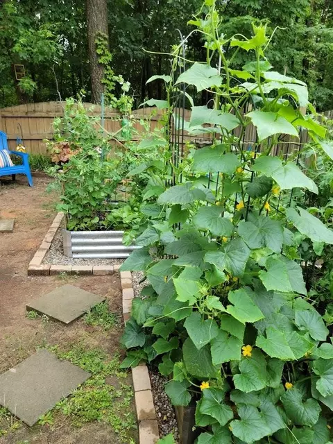 1010 Sophomore Ct, Durham, NC 27713 photo 35