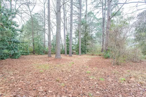 10238 S Chestnut St, Middlesex, NC 27557 photo 18