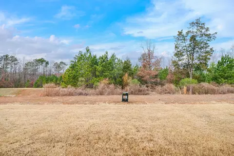 457 Brier Summit Pl, Durham, NC 27703 photo 4