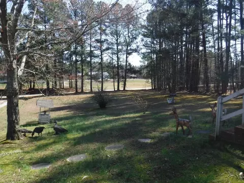 4101 Culbreth Rd, Stem, NC 27581 photo 2