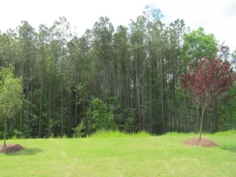 1248 Magic Hollow Rd, Durham, NC 27713 photo 13