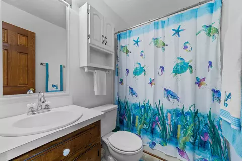 6605 Rose Bay Ct, Willow Spring, NC 27592 photo 17