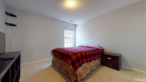 216 Pebblestone Dr, Durham, NC 27703 photo 18