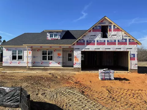 163 Ramble Falls Ln, Erwin, NC 28339 photo 1