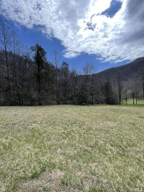 228 Ladybug Ln, Marion, NC 28752 photo 1