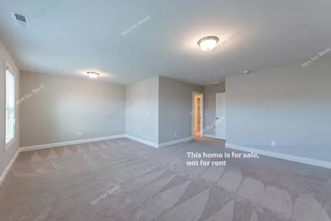 1226 Catch Fly Ln, Durham, NC 27713 photo 16