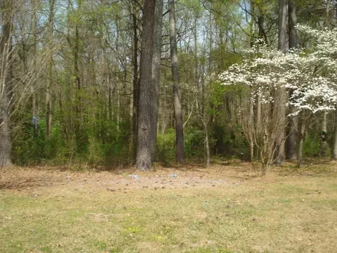 270 Timothy Rd, Dunn, NC 28334 photo 20