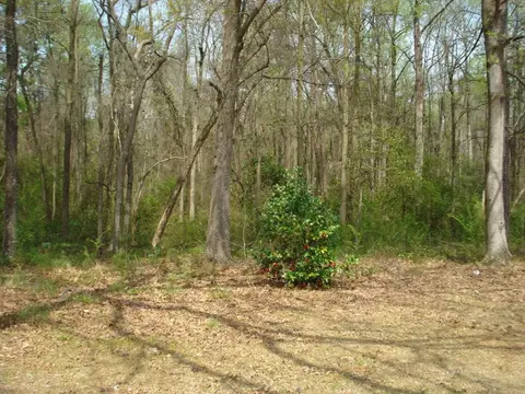 270 Timothy Rd, Dunn, NC 28334 photo 21