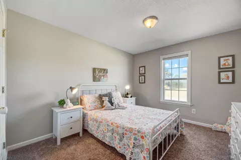 64 Sodan Dr, Willow Spring, NC 27592 photo 21