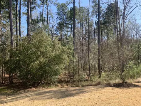 715 Allforth Pl, Cary, NC 27519 photo 34