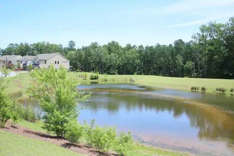 1119 Catch Fly Ln, Durham, NC 27713 photo 34