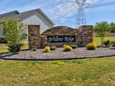 123 Willow Ridge Cir, Willow Spring, NC 27592 photo 39