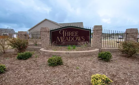 113 Cornfield Ln, Benson, NC 27504 photo 12