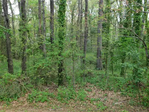 615 E Lavender Ave, Durham, NC 27704 photo 3
