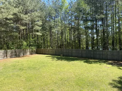 177 Mac Ln, Angier, NC 27501 photo 22