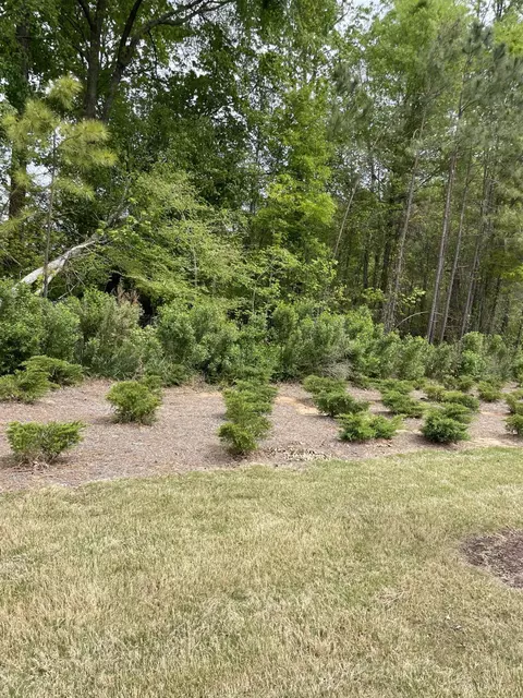 1405 Scholar Dr, Durham, NC 27703 photo 16