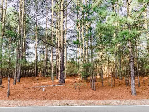 826 Thrush Dr, Vass, NC 28394 photo 3