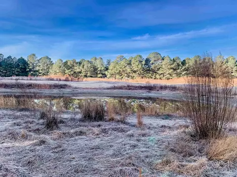 826 Thrush Dr, Vass, NC 28394 photo 1