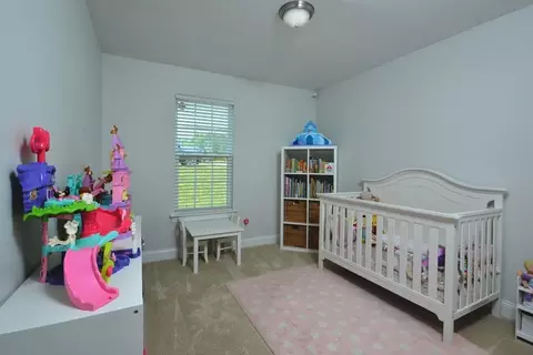 113 Kinloss Way, Stem, NC 27581 photo 17