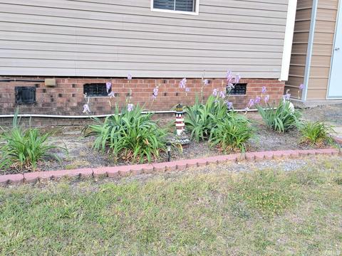 7810 Mount Pleasant Rd, Willow Spring, NC 27592 photo 8