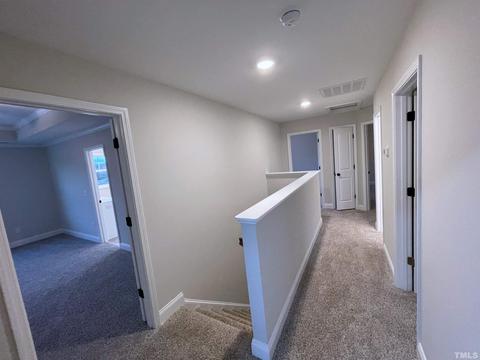 200 Josey Williams Rd, Erwin, NC 28339 photo 18