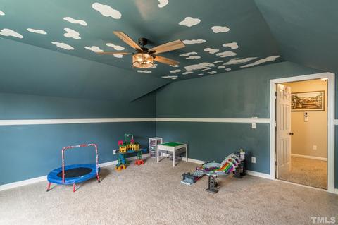 3741 Norman Blalock Rd, Willow Spring, NC 27592 photo 61
