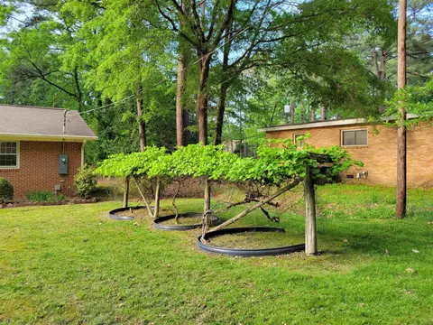 410 Argonne Dr, Durham, NC 27704 photo 20