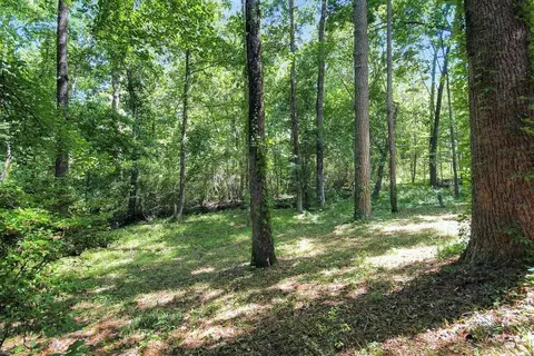 203 S Roderick Dr, Smithfield, NC 27577 photo 27