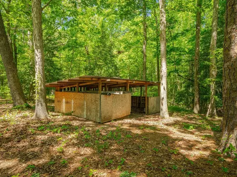 7429 Turner Fish Rd, Willow Spring, NC 27592 photo 36