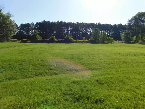 105 Tractor Pl, Willow Spring, NC 27592 photo 20