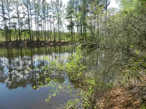 549 Warner Winn Rd, Kittrell, NC 27544