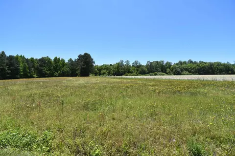0000 Mcneill Hobbs Rd, Bunnlevel, NC 28323