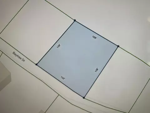 lot427 Bay Tree Dr, Harrells, NC 28444 photo 4