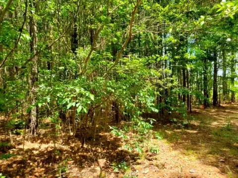 340 Wilder Rd, Middlesex, NC 27557 photo 4